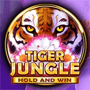 Bảo vệ dữ liệu người dùng Fun88hay đăng nhập